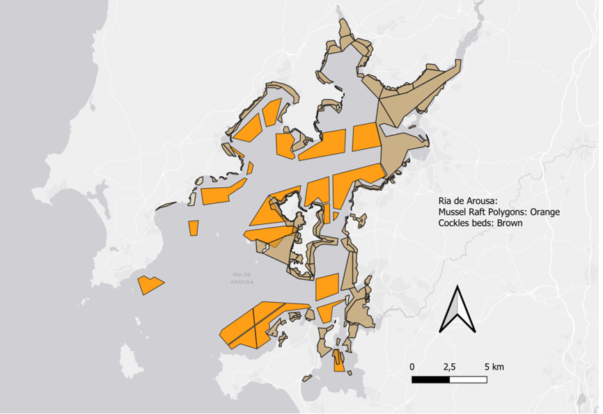 Ria de arousa